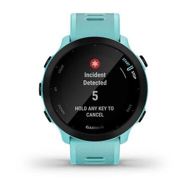 Спортивные часы Garmin (Гармин) Forerunner 55 GPS, Aqua (010-02562-12) | Мототека