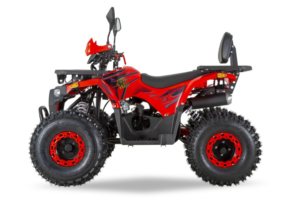 Квадроцикл детский R - MOTO (Р - Мото) Lion 125 AR красный (машинокомплект) | Мототека