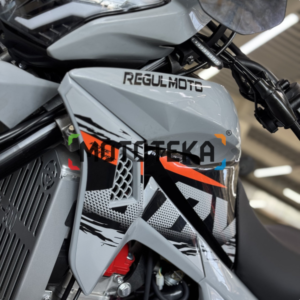 Мотоцикл кроссовый / эндуро Regulmoto (Регулмото) TE PRO NB300 серый с ПТС | Мототека