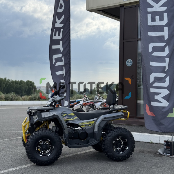 Квадроцикл FXMOTO (ФХмото) WASP 250 серый (машинокомплект) | Мототека